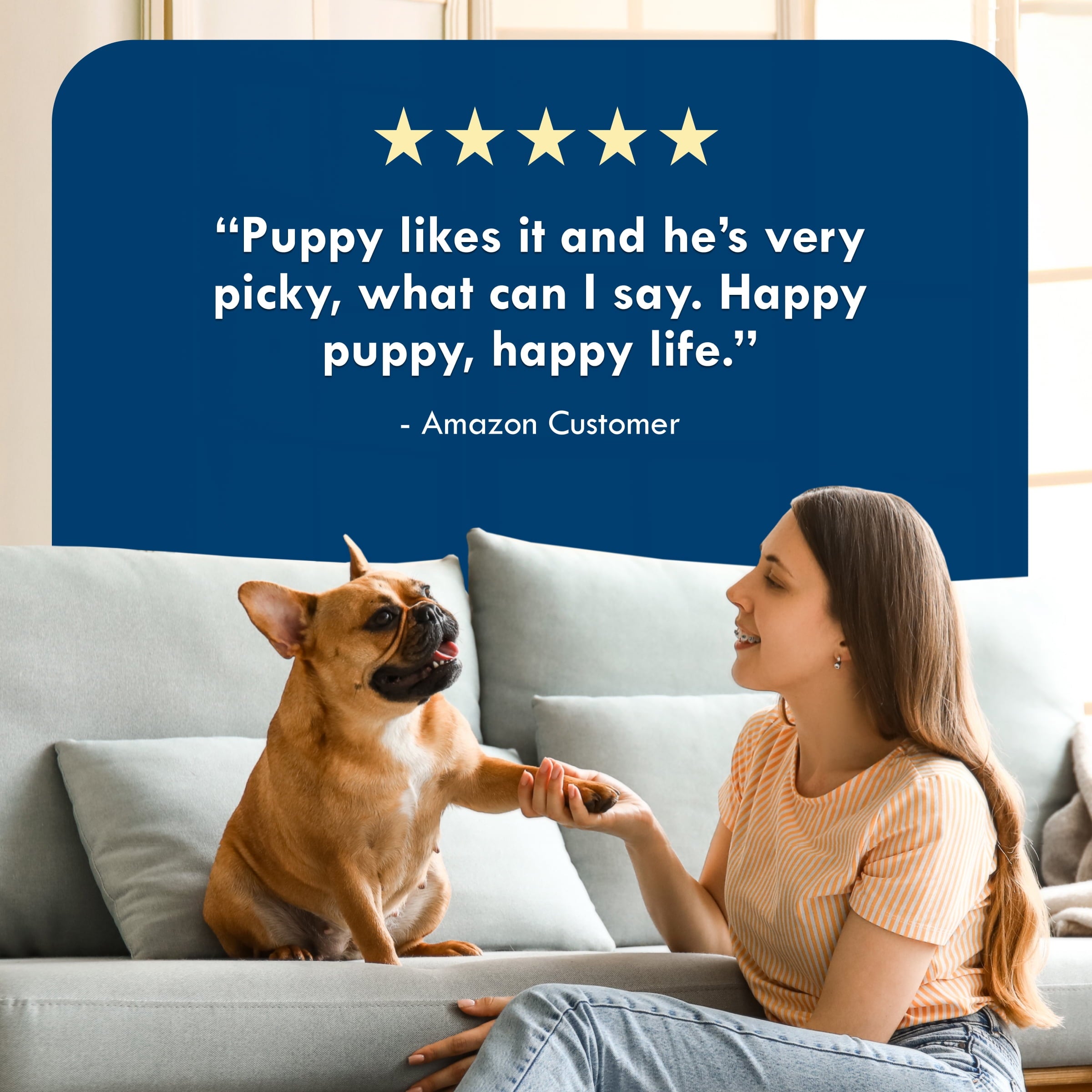 Blue Buffalo Delights Natural Adult Small Breed Wet Dog Food Pate, Variety Pack 3.5-oz (24 Pack- 8 of Each Flavor)