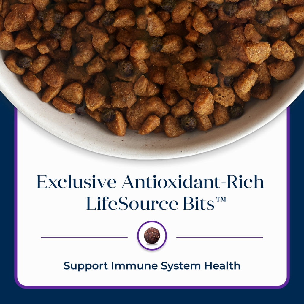 Blue Buffalo Basics Adult Dry Dog Food, Skin & Stomach Care, Turkey Recipe, 11lb