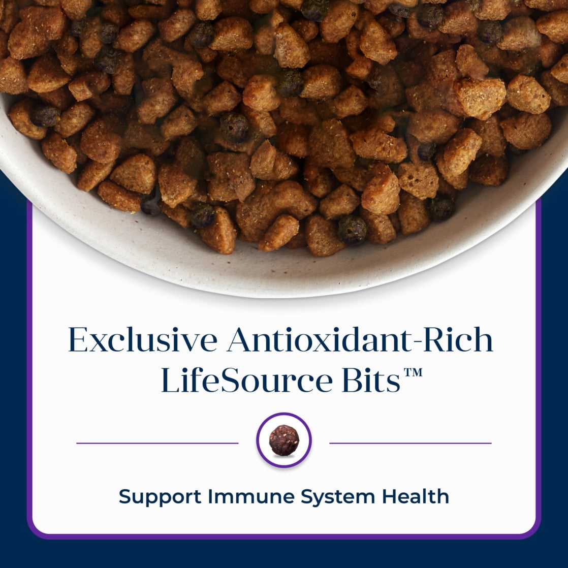 Blue Buffalo Basics Adult Dry Dog Food, Skin & Stomach Care, Turkey Recipe, 11lb