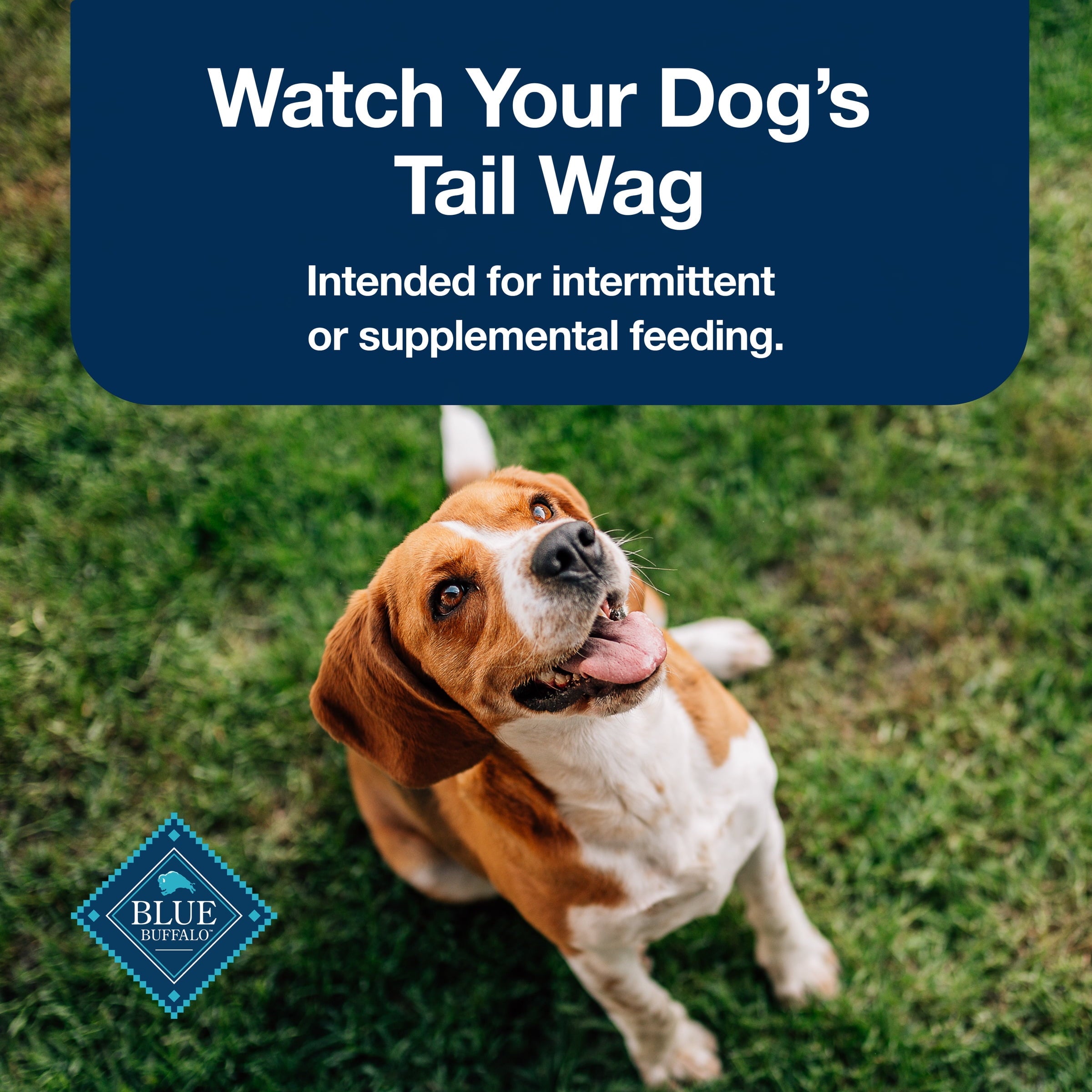 Blue Buffalo Stix Pepperoni-Style Dog Treats, Chicken Recipe, 5-oz. Bag