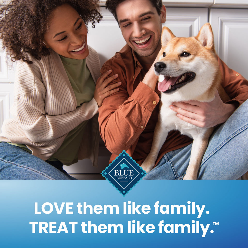 Blue Buffalo Dental Chews Large Natural Dog Treats, Chicken & Spearmint (14 Count)