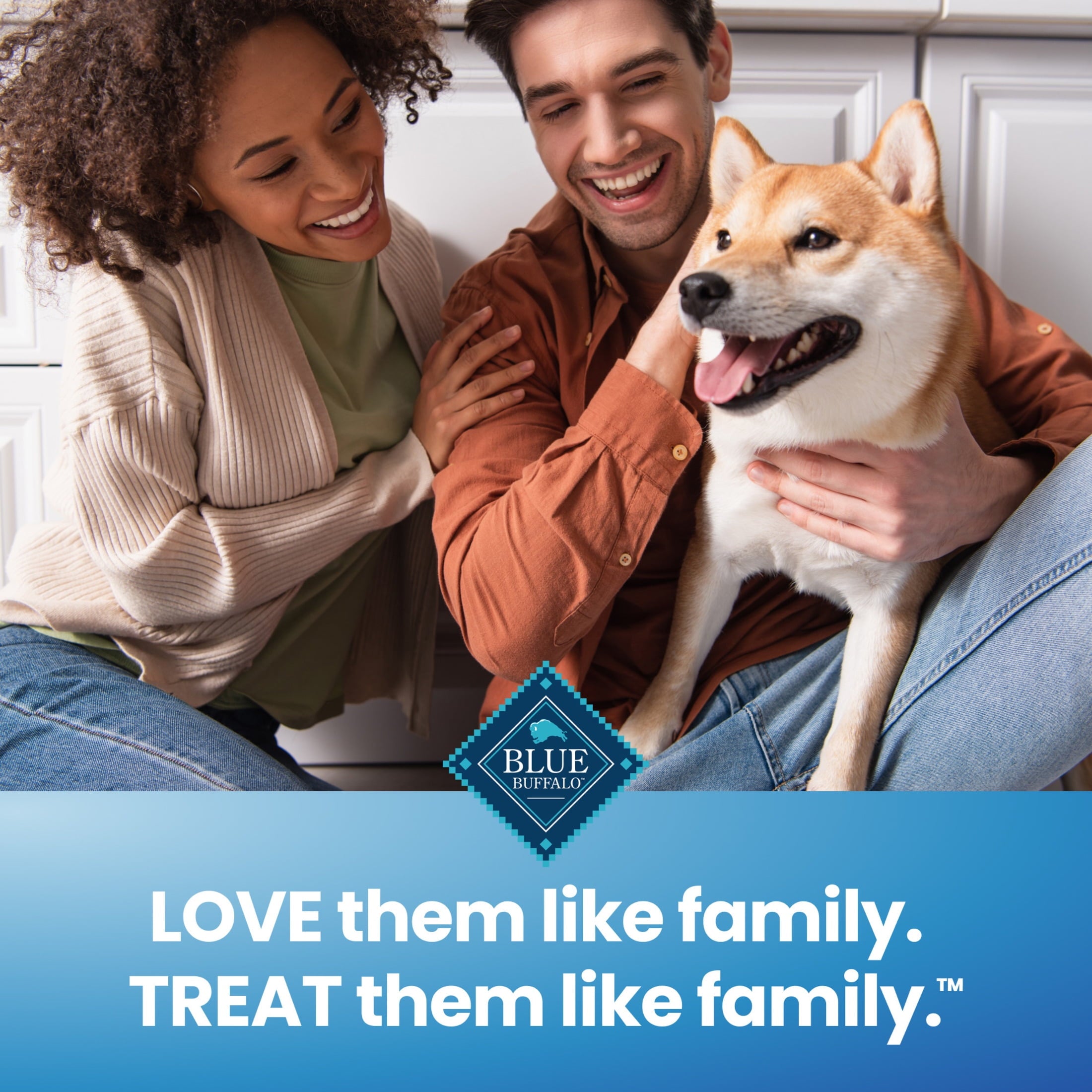 Blue Buffalo Dental Chews Large Natural Dog Treats, Chicken & Spearmint (14 Count)