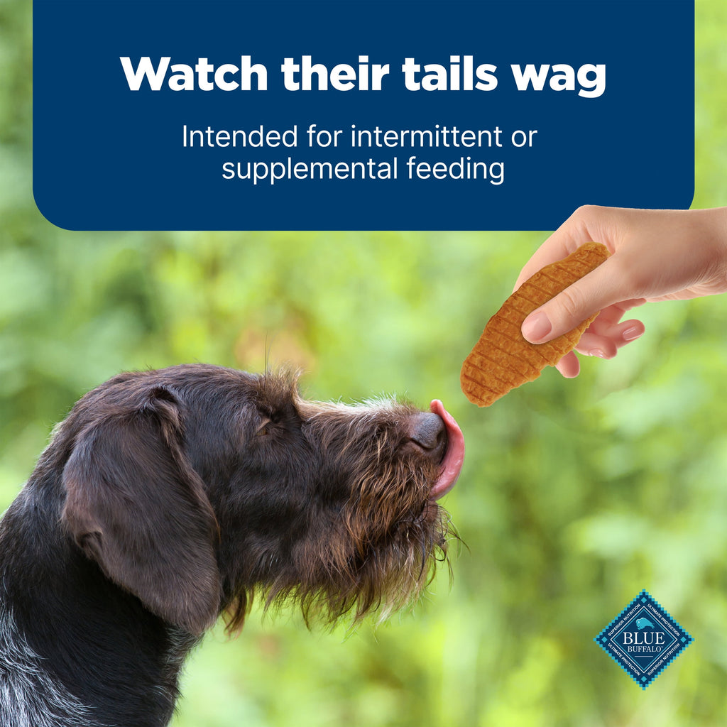 Blue Buffalo Nudges Jerky Cuts Dog Treats Made with Real Chicken, 8-oz. Bag