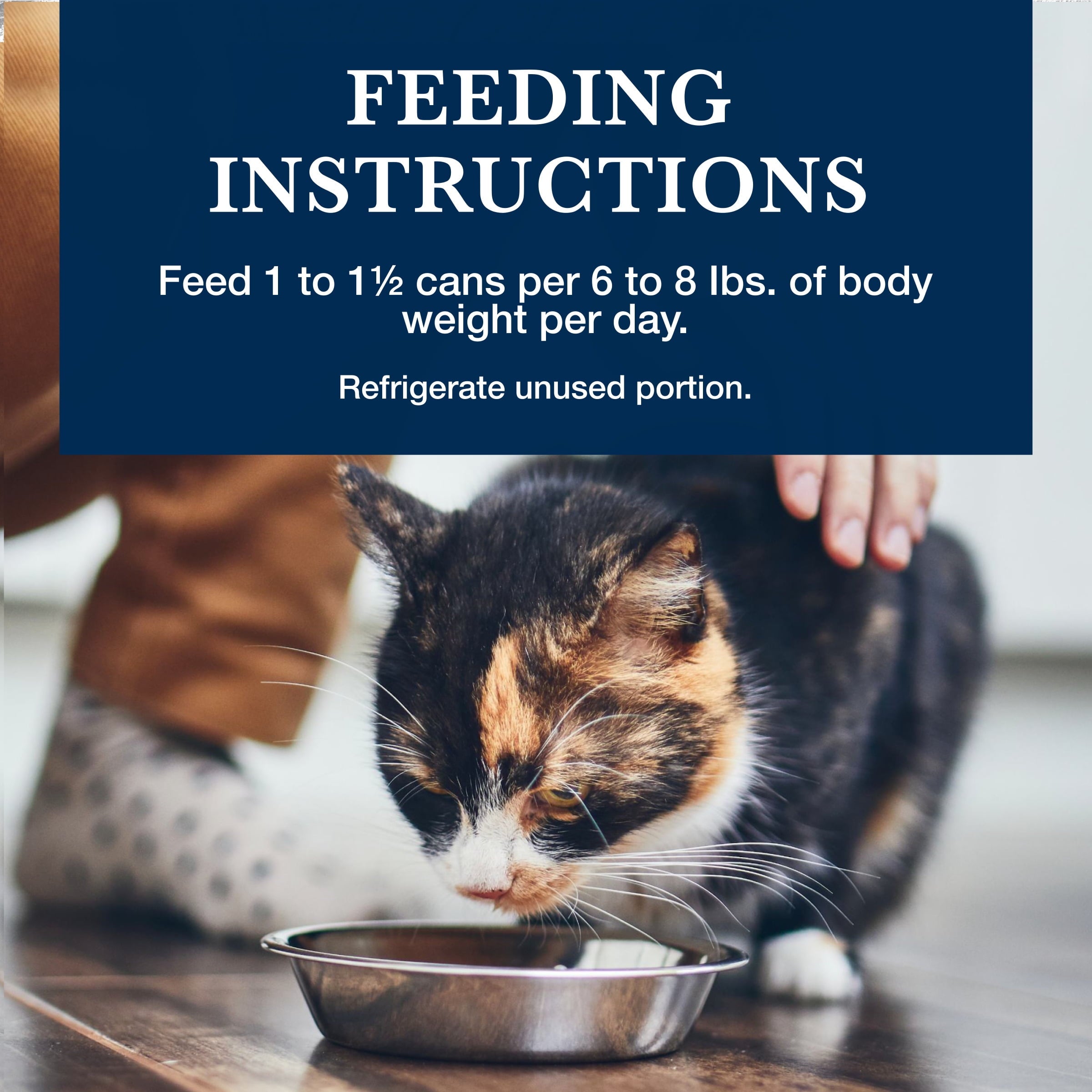 Blue Buffalo Natural Veterinary Diet K+M Kidney + Mobility Wet Cat Food, Chicken, 5.5-oz. Can