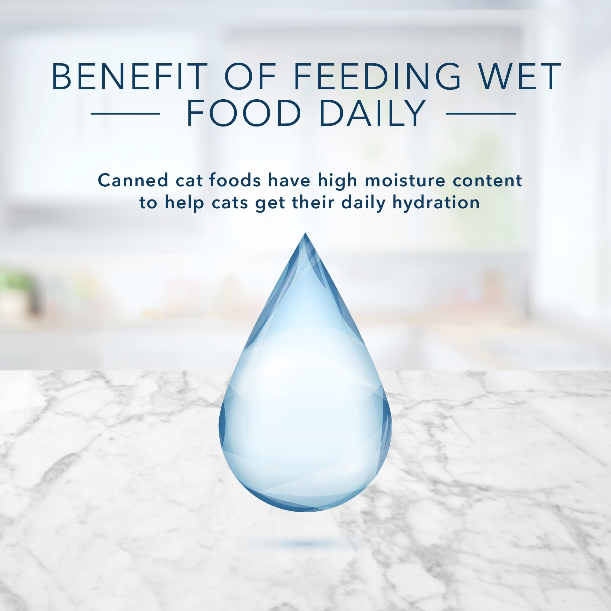 Blue Buffalo Tastefuls Chicken, Turkey & Chicken & Ocean Fish & Tuna Entr ©es Variety Pack Pate Wet Cat Food, 5.5-oz Can, Case of 12 (Pack of 2)