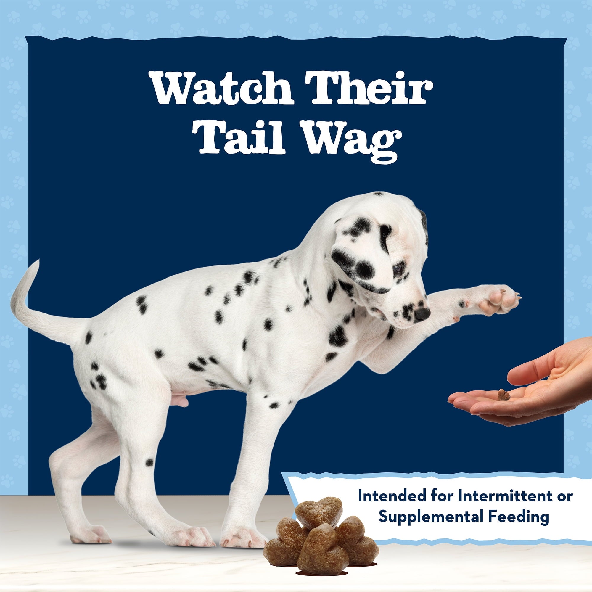 (3 pack) Blue Buffalo Baby BLUE Puppy Training Treats for Dogs with DHA, Savory Chicken, 4-oz. Bag