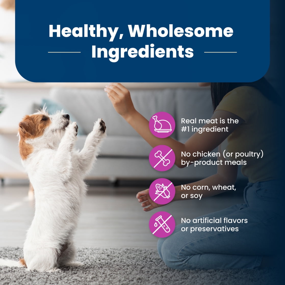 Blue Buffalo Life Protection Formula Small Breed Senior Dry Dog Food, Chicken & Rice, 15lb