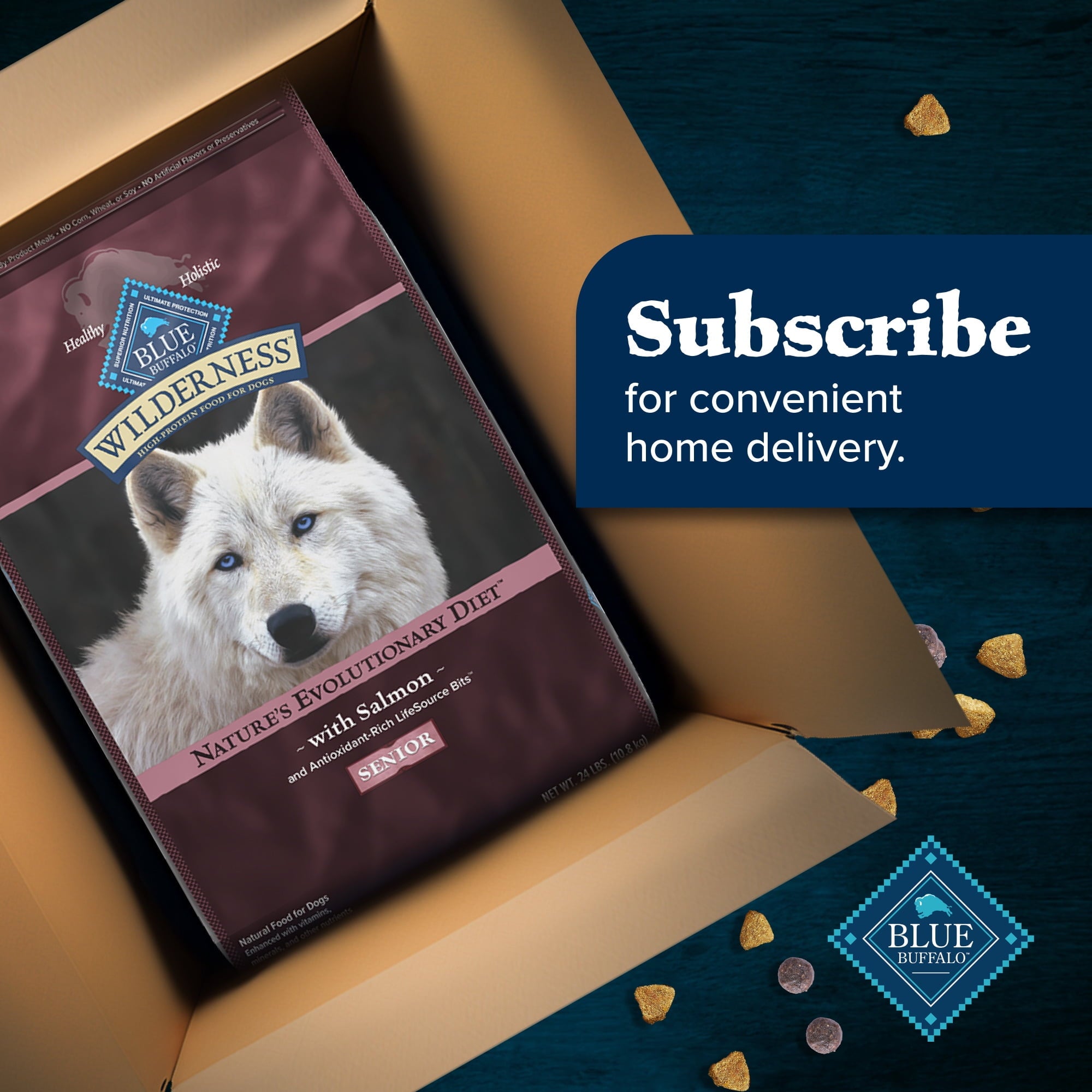 Blue Buffalo Wilderness High-Protein Natural Dry Food for Senior Dogs, Salmon Recipe, 4.5-lb. Bag