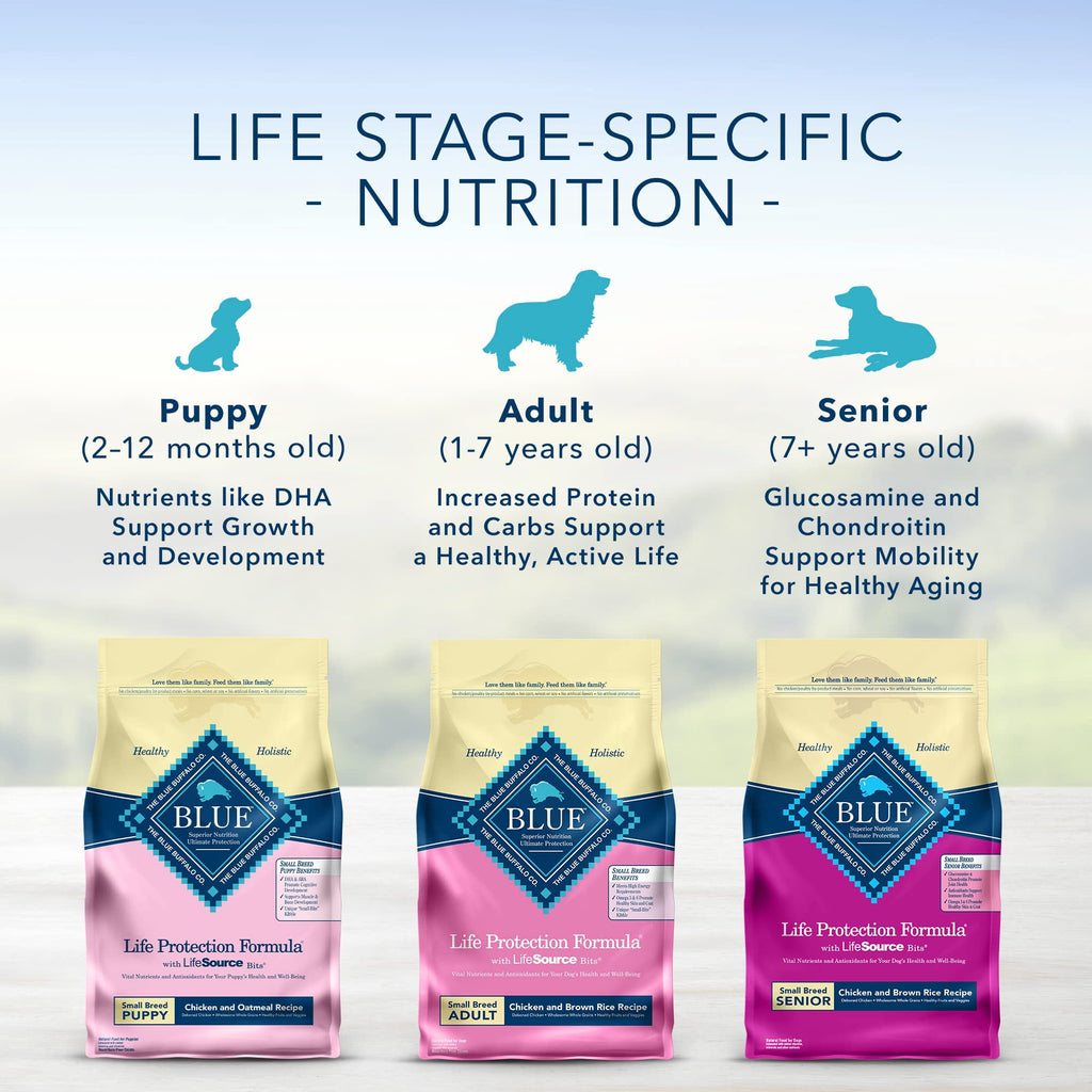 Blue Buffalo Blue Life Protection Natural Chicken and Brown Rice Small Breed (Pack of 4)