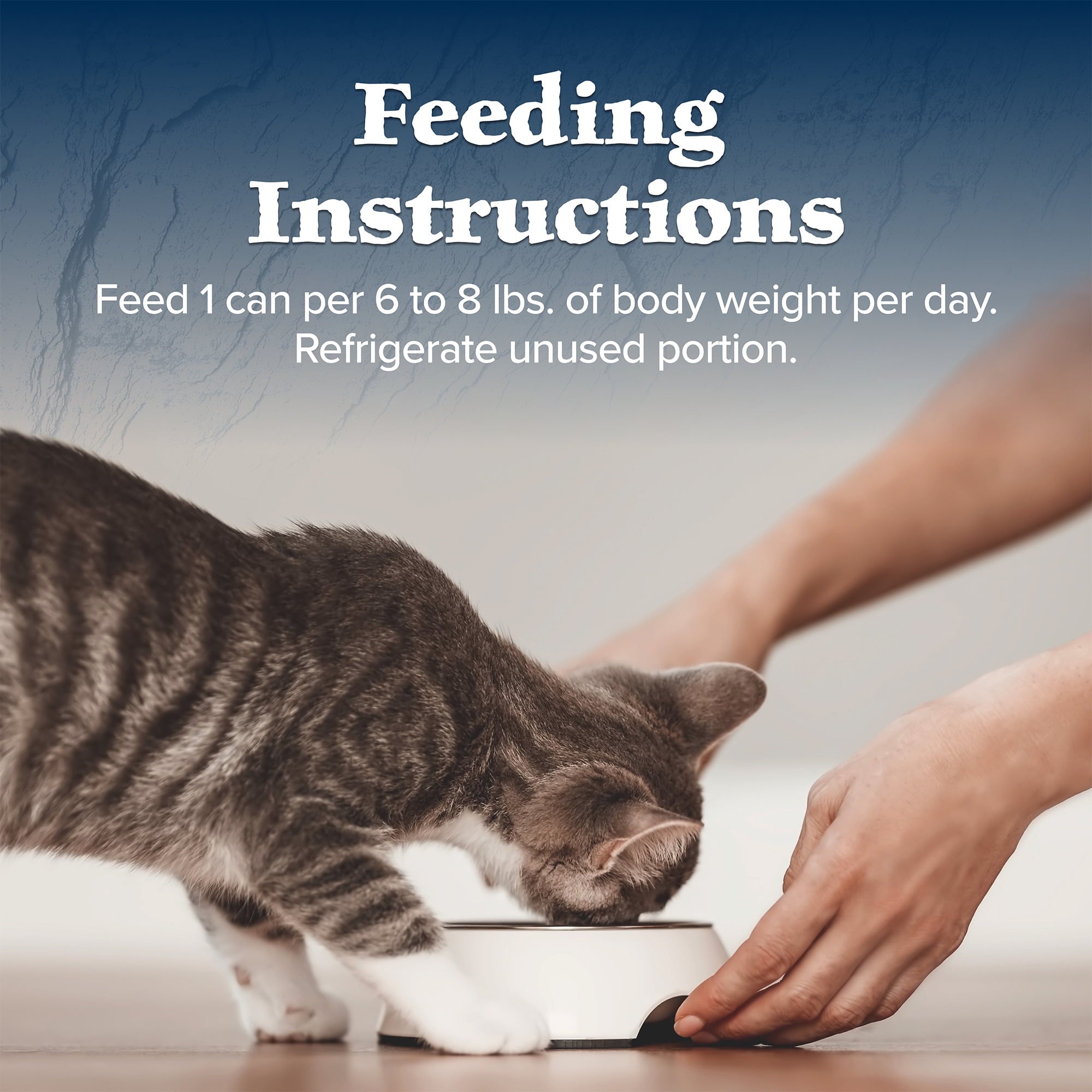 (6 pack) Blue Buffalo Wilderness Wet Cat Food Pate, High-Protein & Grain-Free Recipe, Chicken, 5.5-oz. Can