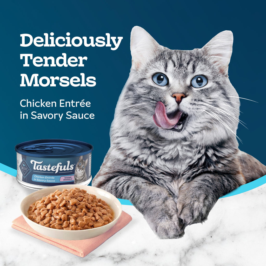 (2 pack) Blue Buffalo Tastefuls Adult Cat Wet Food, Chicken Morsels in Gravy, 5.5-oz. Can