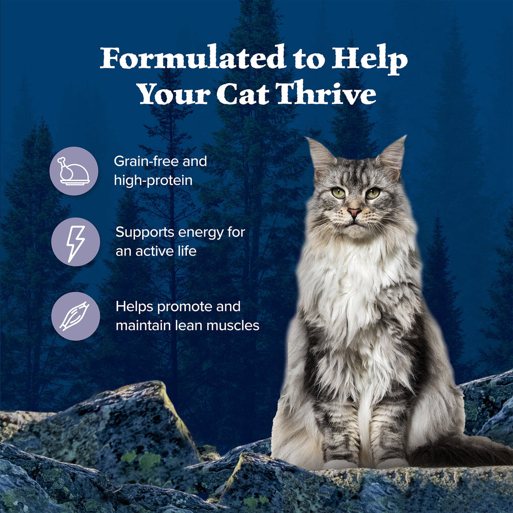 (6 pack) Blue Buffalo Wilderness Wet Cat Food Pate, High-Protein & Grain-Free Recipe, Chicken, 5.5-oz. Can