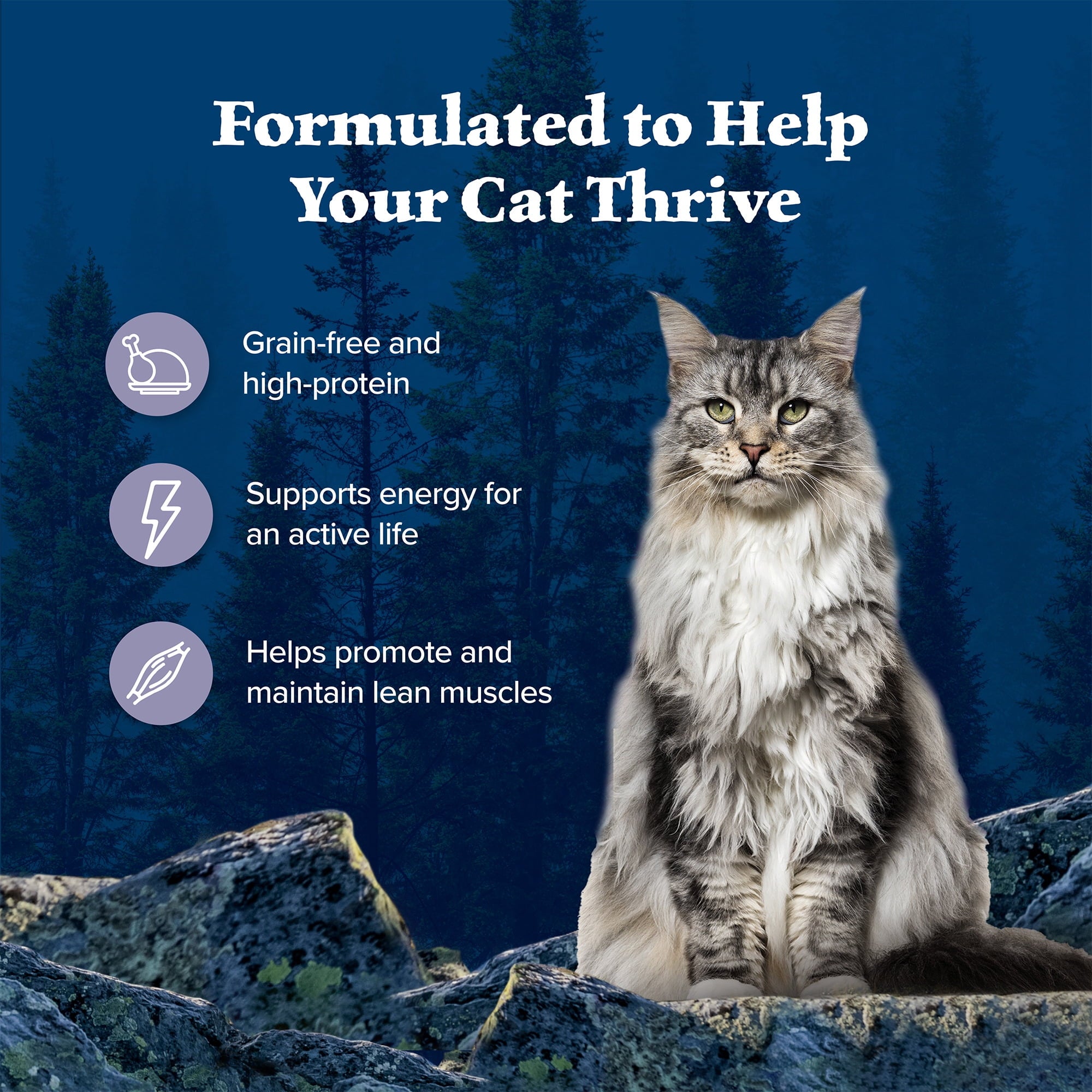 (6 pack) Blue Buffalo Wilderness Wet Cat Food Pate, High-Protein & Grain-Free Recipe, Chicken, 5.5-oz. Can