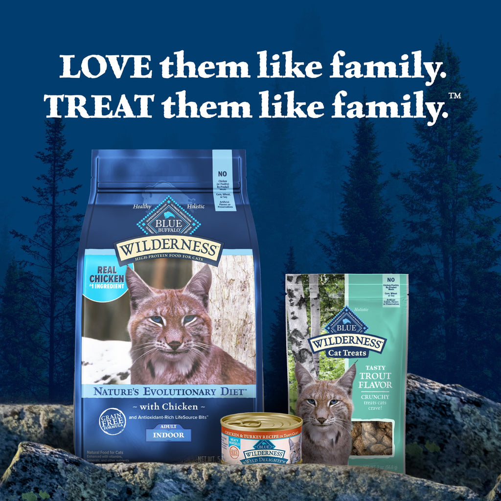 Blue Buffalo Wilderness High Protein Natural Crunchy Cat Treats, Tasty Trout, 2-oz. Bag