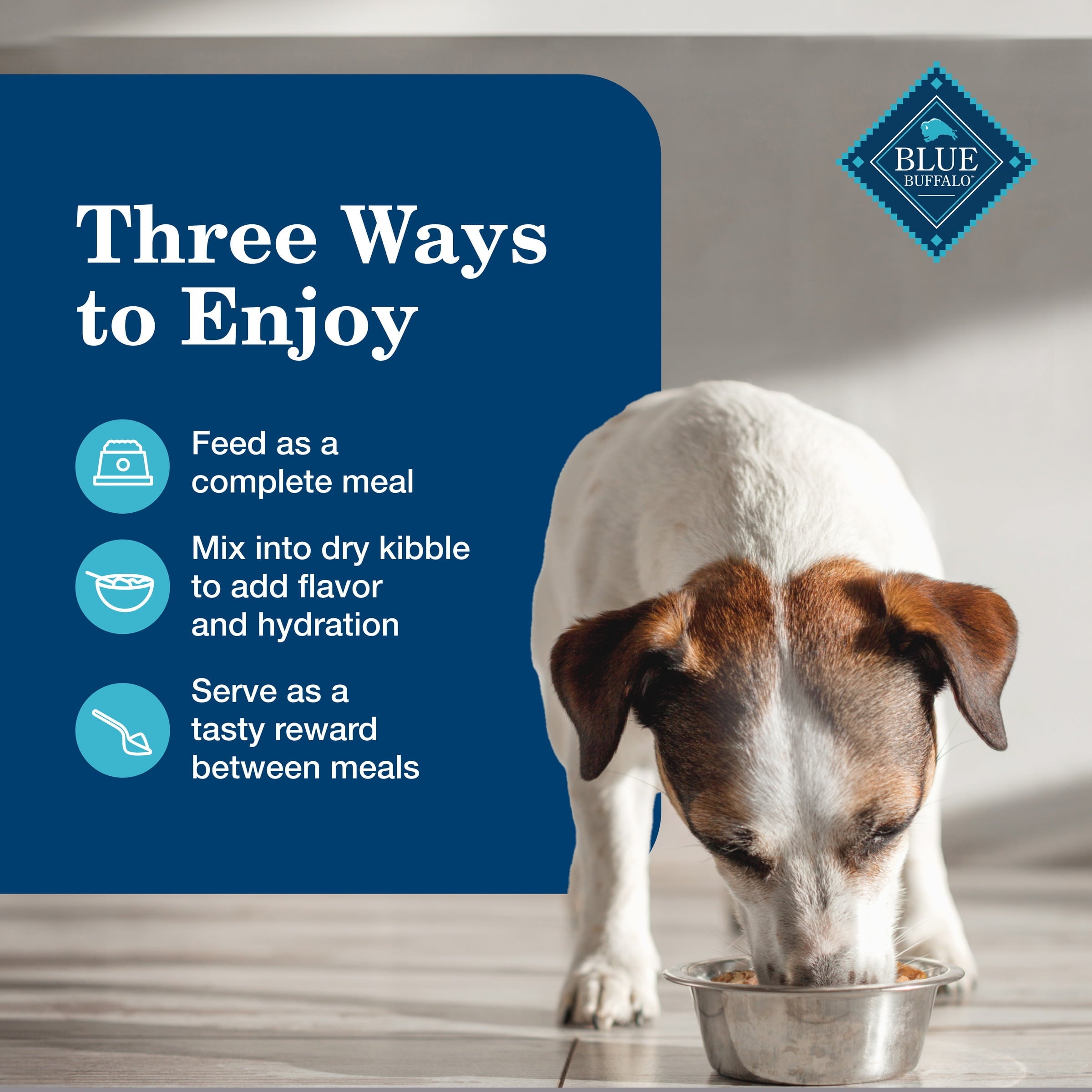 (12 pack) Blue Buffalo Homestyle Recipe Senior Wet Dog Food, Chicken Dinner, 12.5-oz. Can