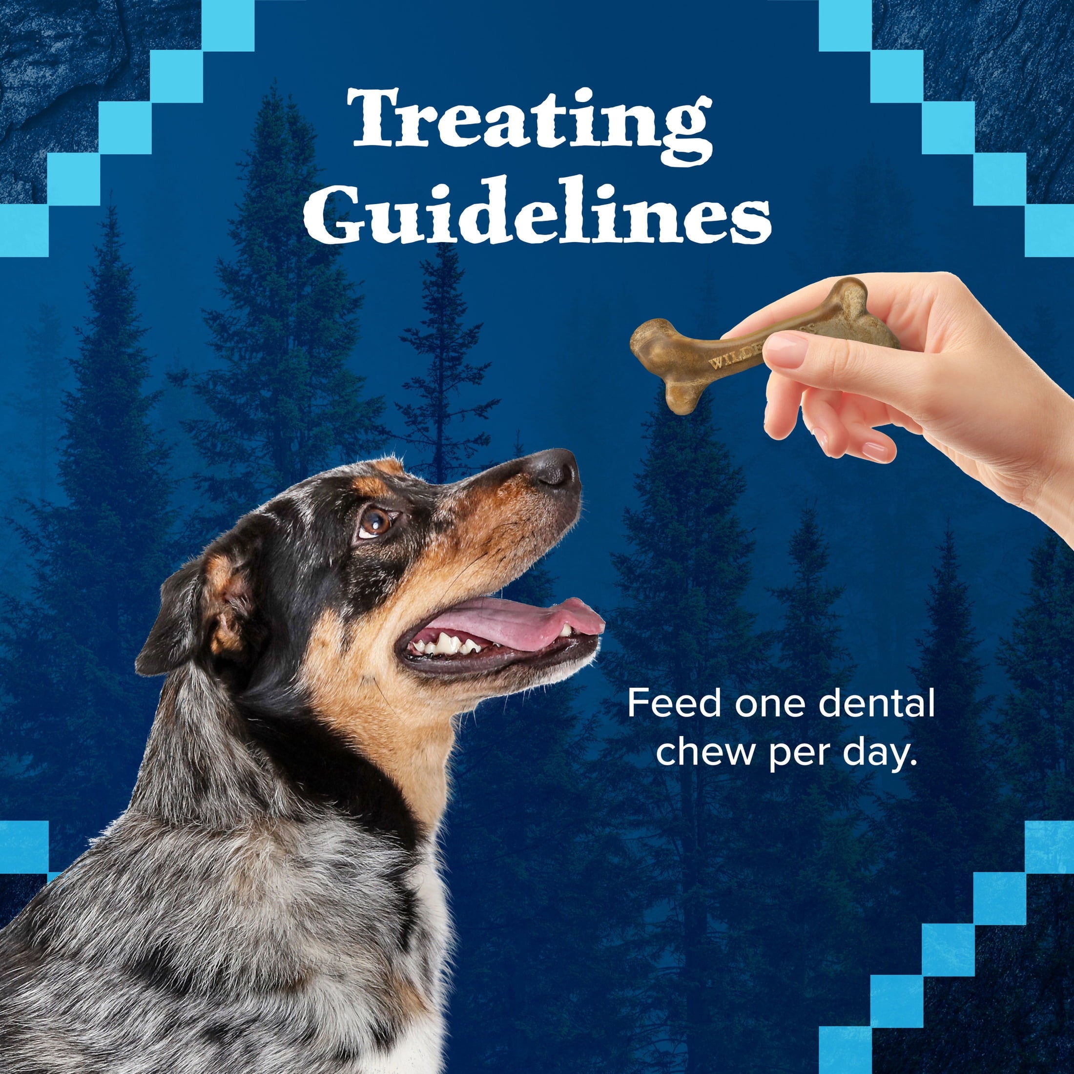 Blue Buffalo Wilderness Wild Bones Dental Chews Dog Treats, Regular, 27-oz Bag