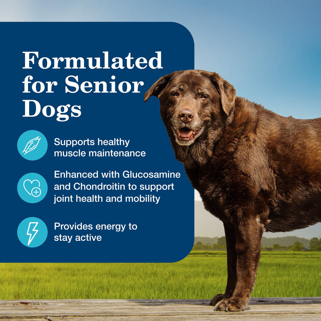 (12 pack) Blue Buffalo Homestyle Recipe Senior Wet Dog Food, Chicken Dinner, 12.5-oz. Can