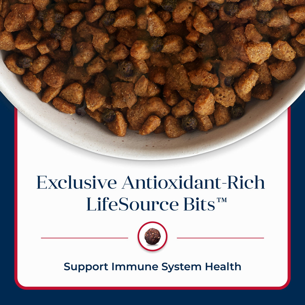 Blue Buffalo Basics Grain-Free Dry Dog Food, Adult, Limited Ingredient Diet, Salmon, 22 lbs.