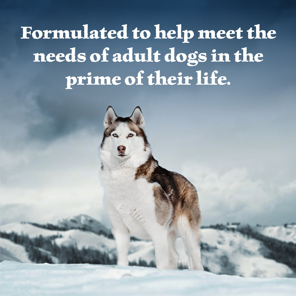 (12 pack) Blue Buffalo Wilderness Adult Wet Dog Food Beef & Chicken Grill, 12.5-oz. Can