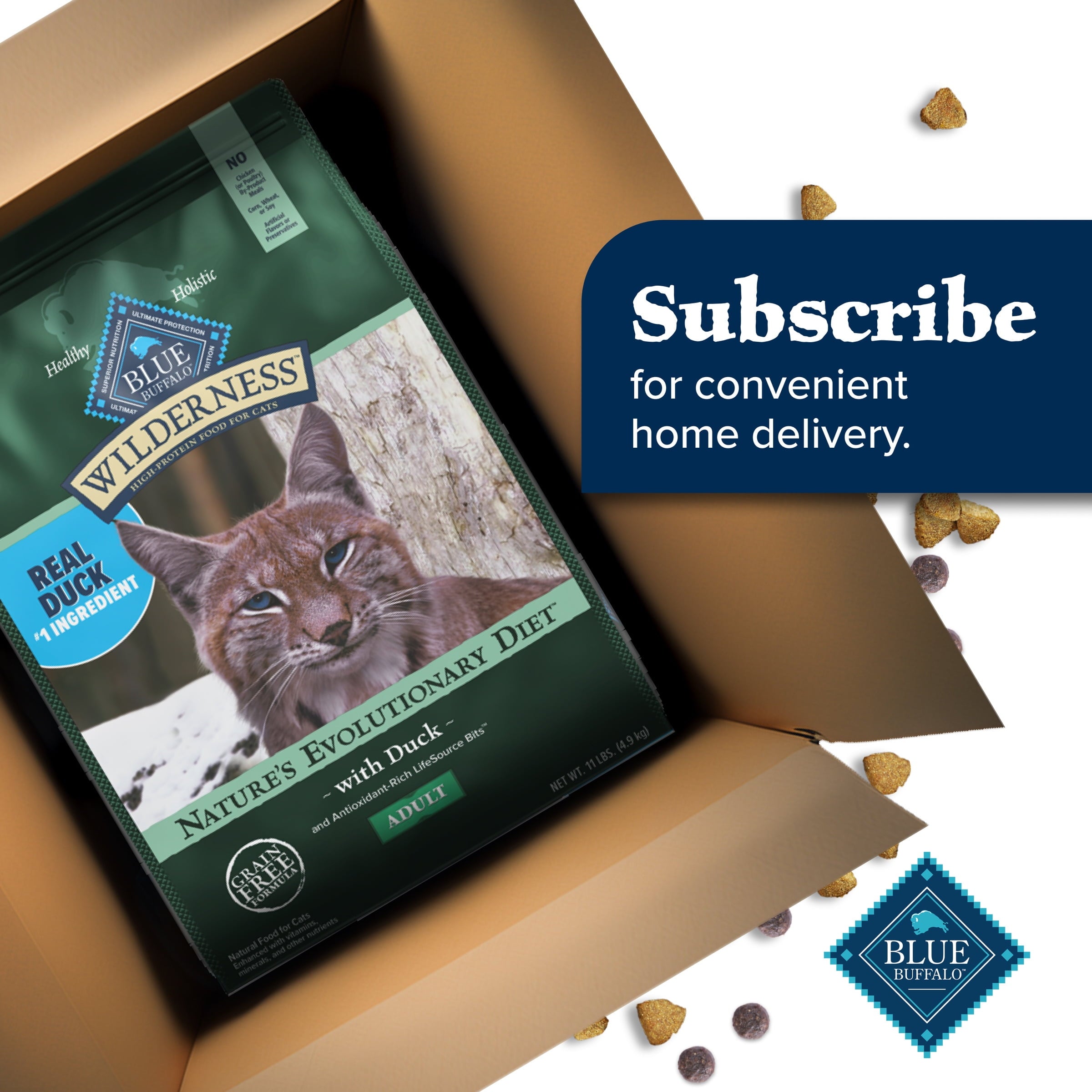 Blue Buffalo Wilderness Natural High-Protein, Grain-Free Dry Cat Food, Duck, 4-lb. Bag