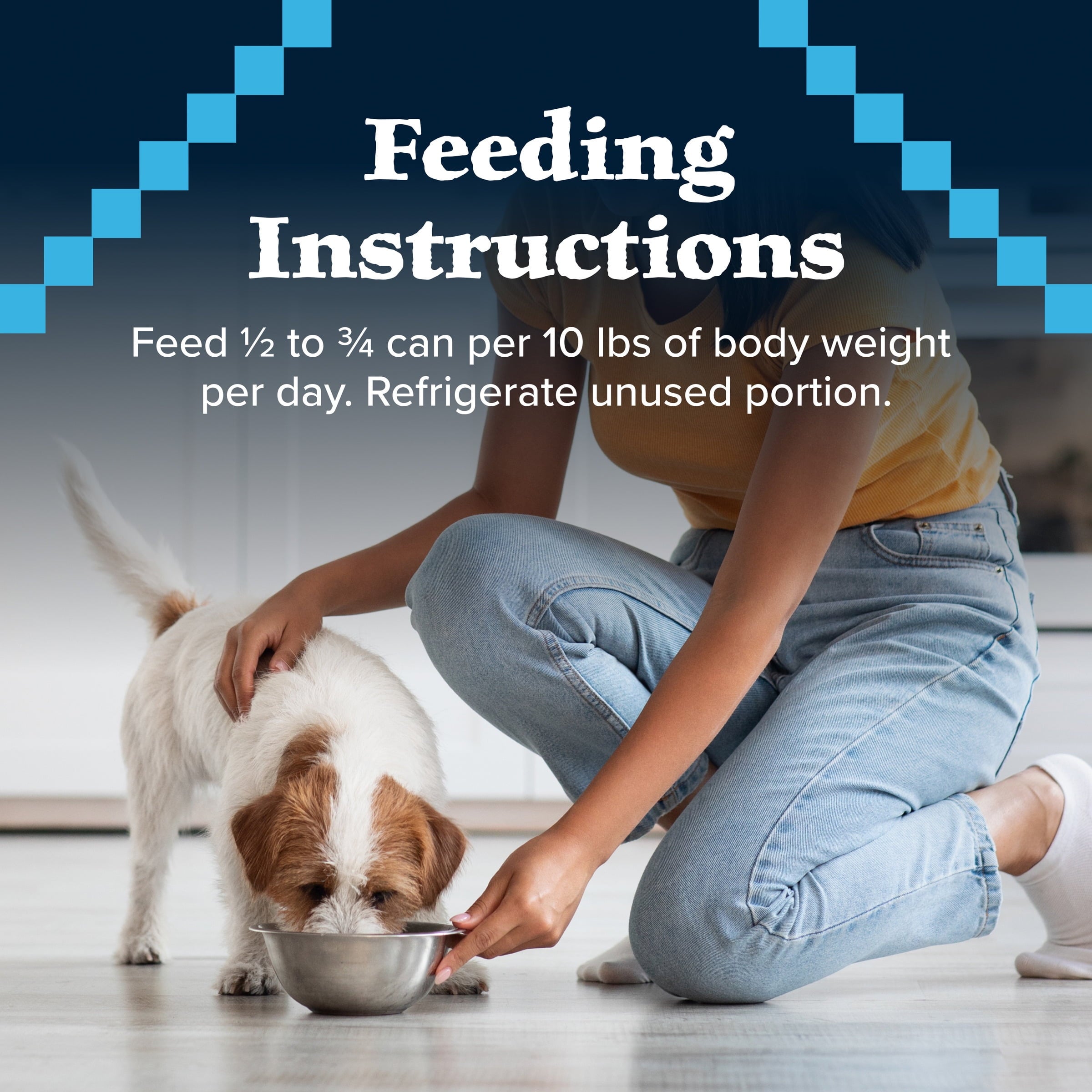 (12 pack) Blue Buffalo Wilderness Adult Wet Dog Food Beef & Chicken Grill, 12.5-oz. Can