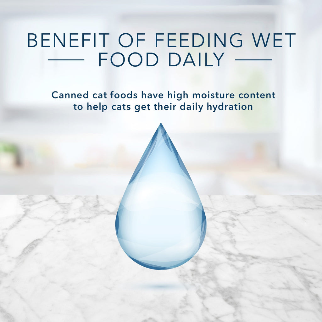 Blue Buffalo Blue Tastefuls Natural Adult Gravy Wet Cat Food (Pack of 2)