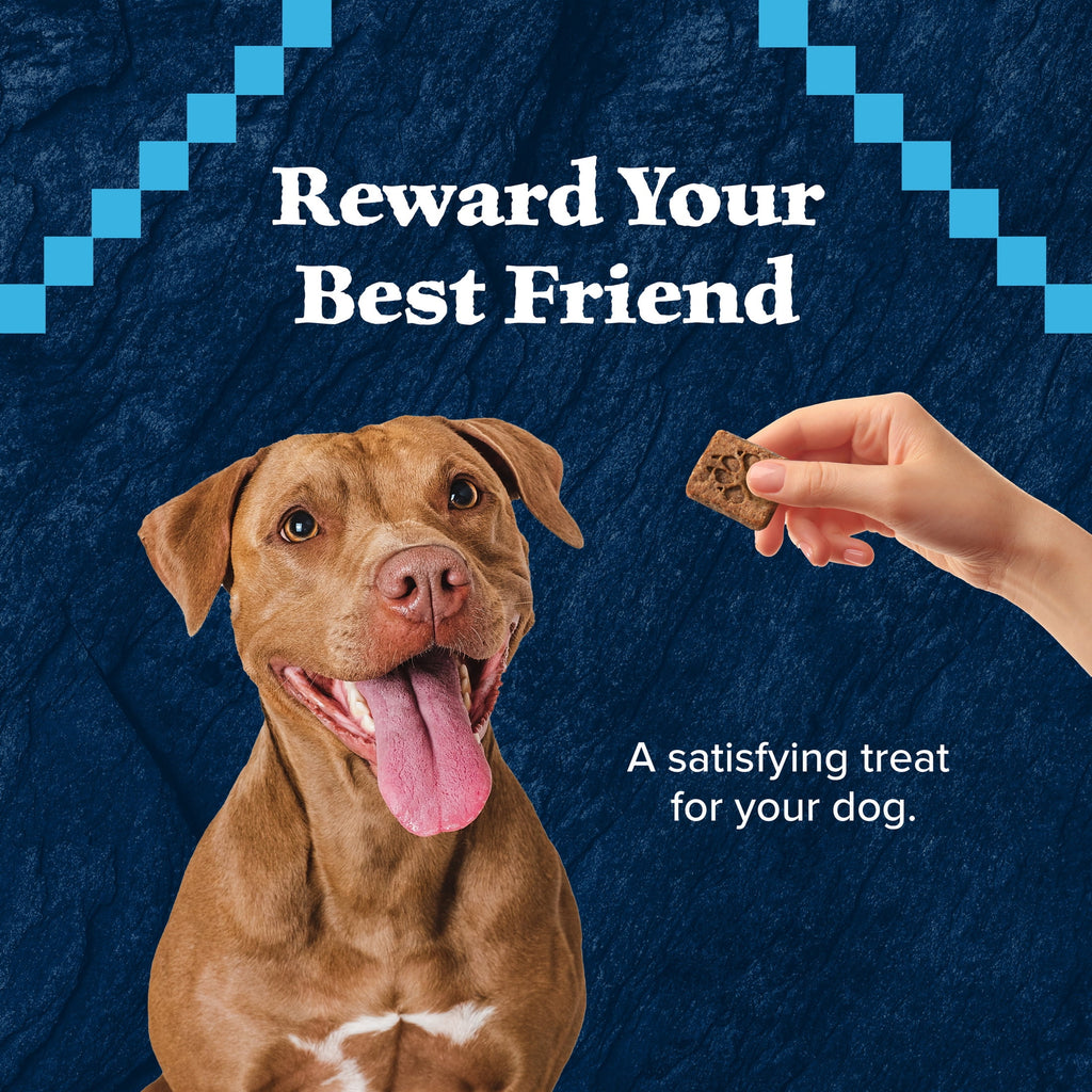 Blue Buffalo Wilderness Trail Treats Dog Biscuits Crunchy Dog Treats, Turkey, 24-oz Bag