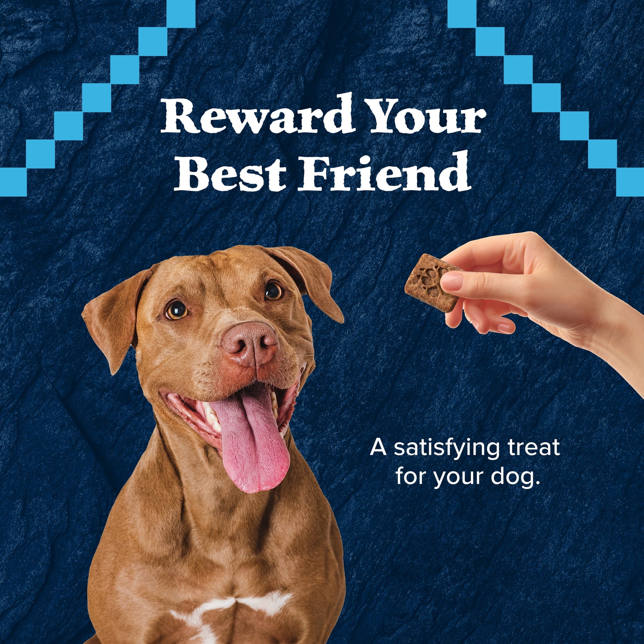 Blue Buffalo Wilderness Trail Treats Dog Biscuits Crunchy Dog Treats, Turkey, 24-oz Bag