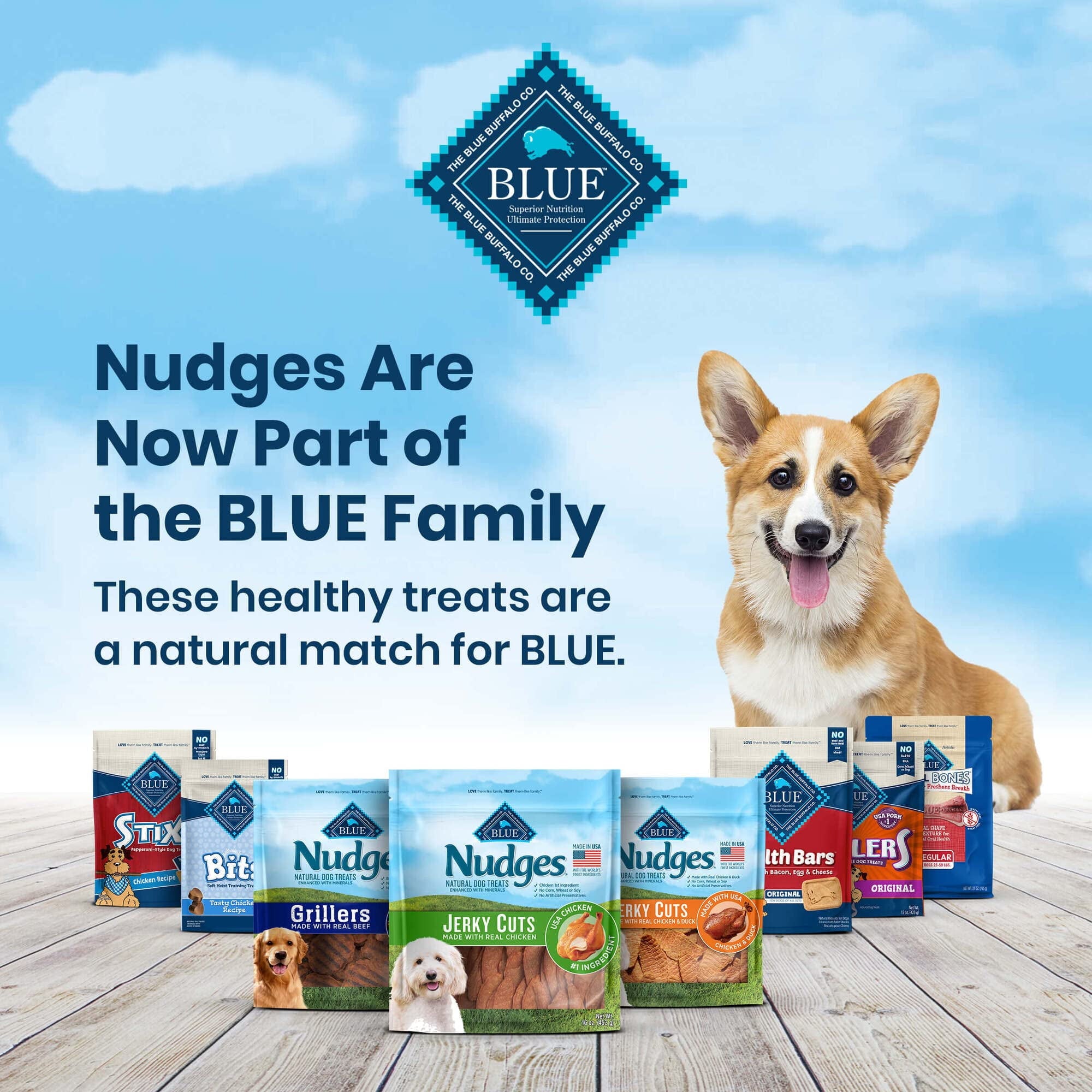 Blue Buffalo Nudges Jerky Cuts Natural Dog Treats, Chicken, 16 oz (Pack of 10)