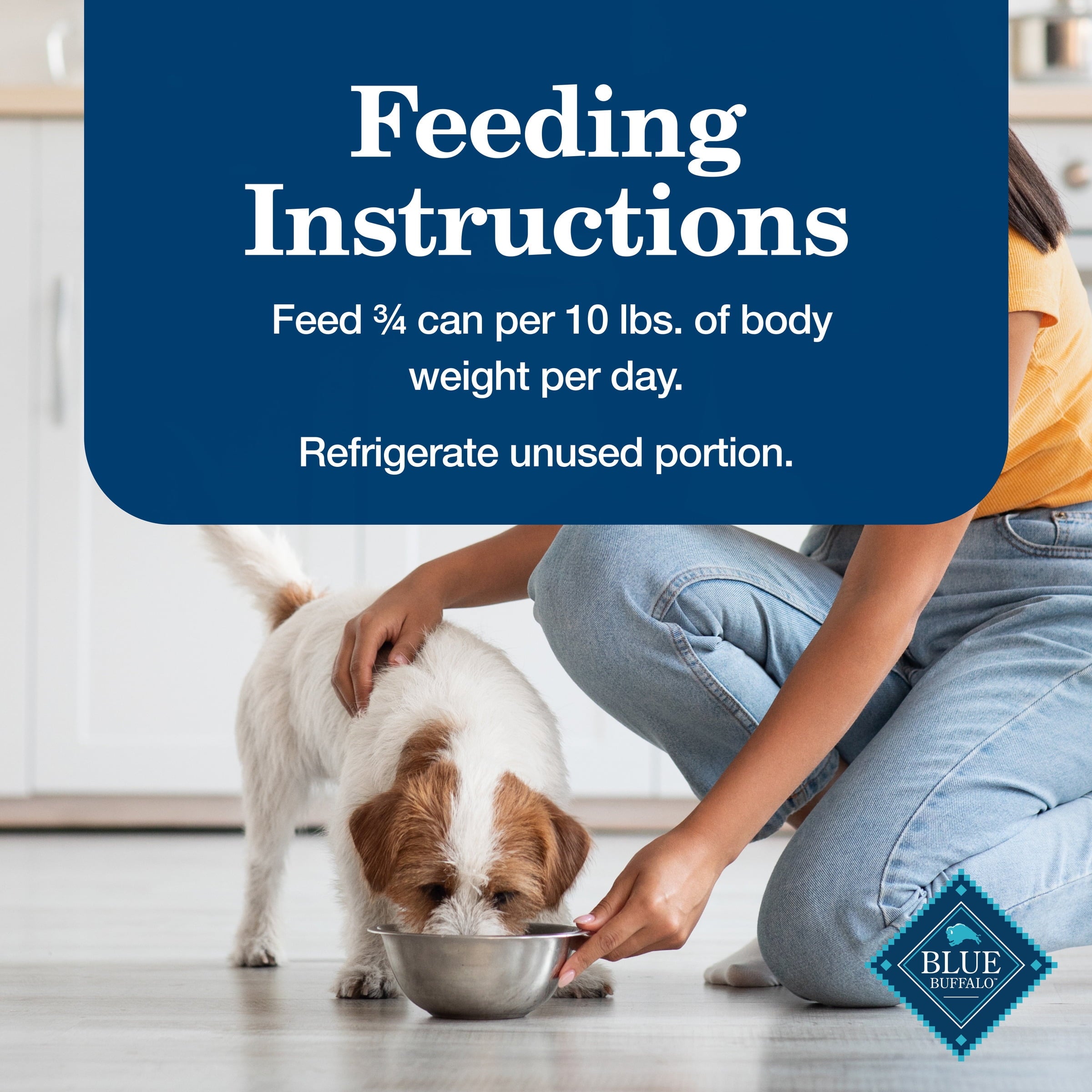 (12 pack) Blue Buffalo Homestyle Recipe Senior Wet Dog Food, Chicken Dinner, 12.5-oz. Can